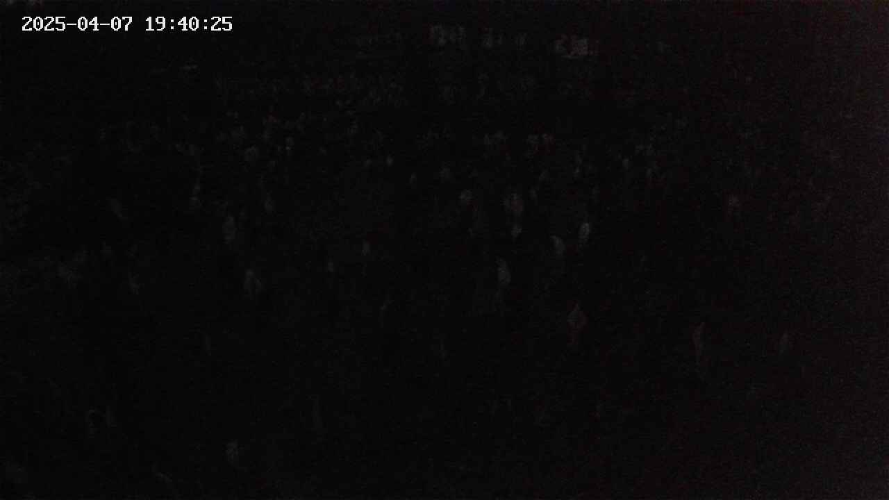 mizubasho2-20250407194026.jpg