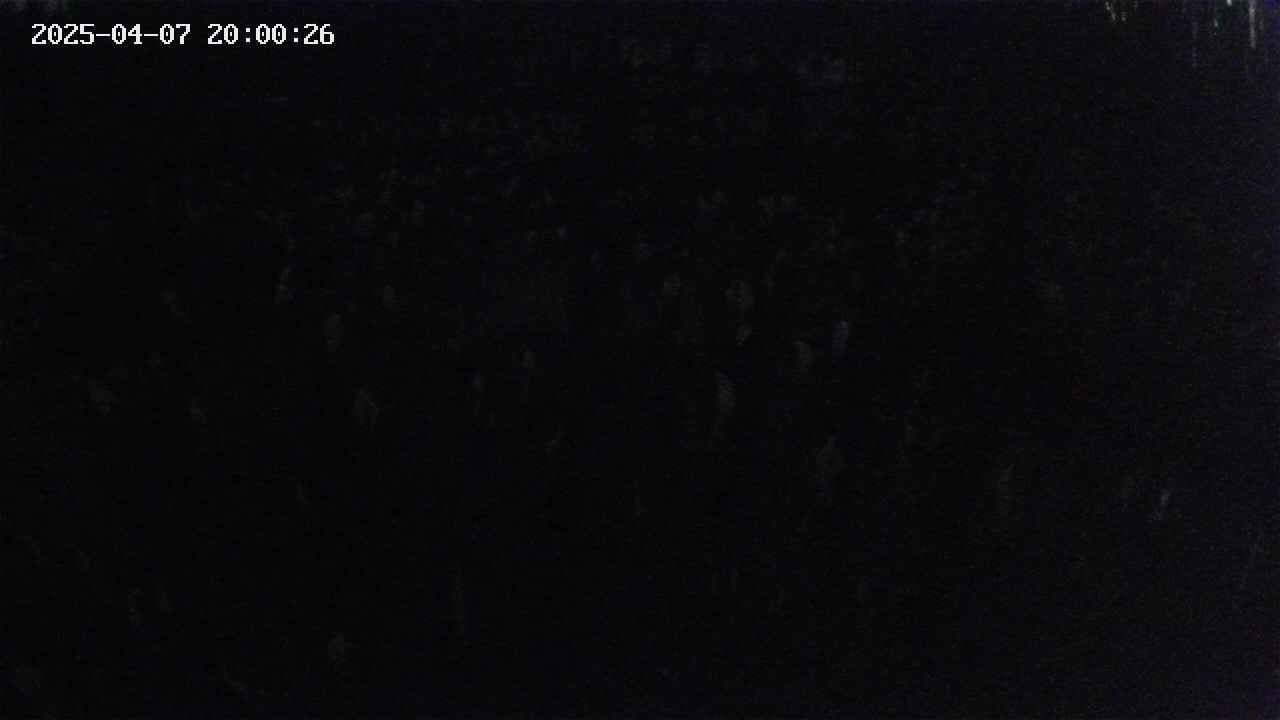 mizubasho2-20250407200026.jpg