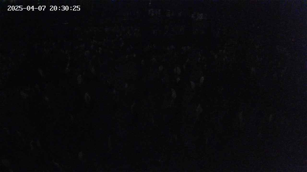 mizubasho2-20250407203026.jpg