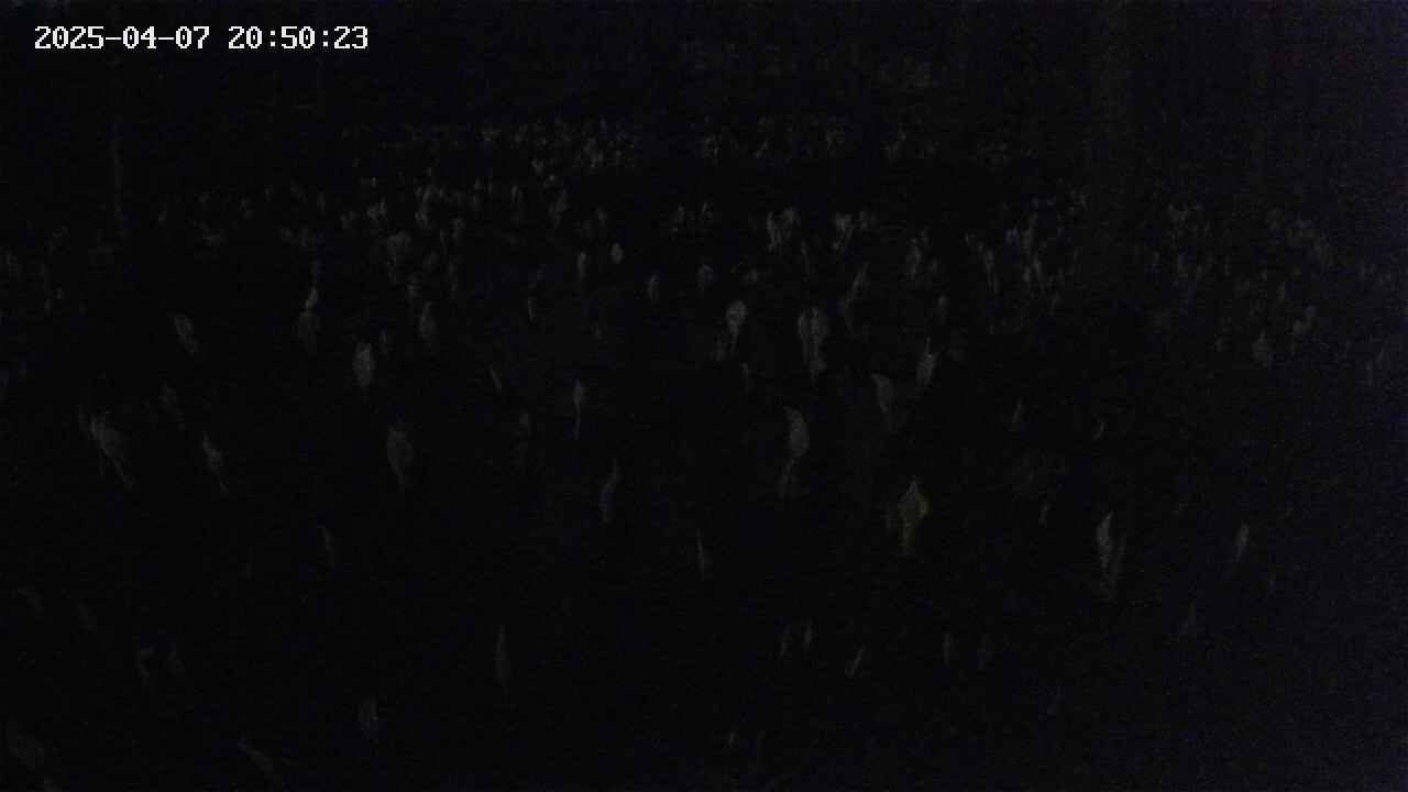 mizubasho2-20250407205024.jpg