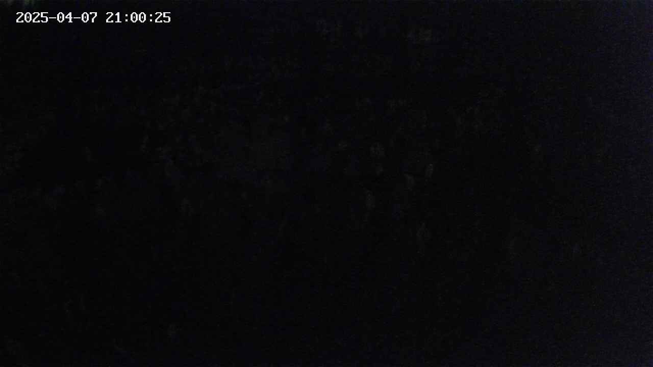 mizubasho2-20250407210026.jpg