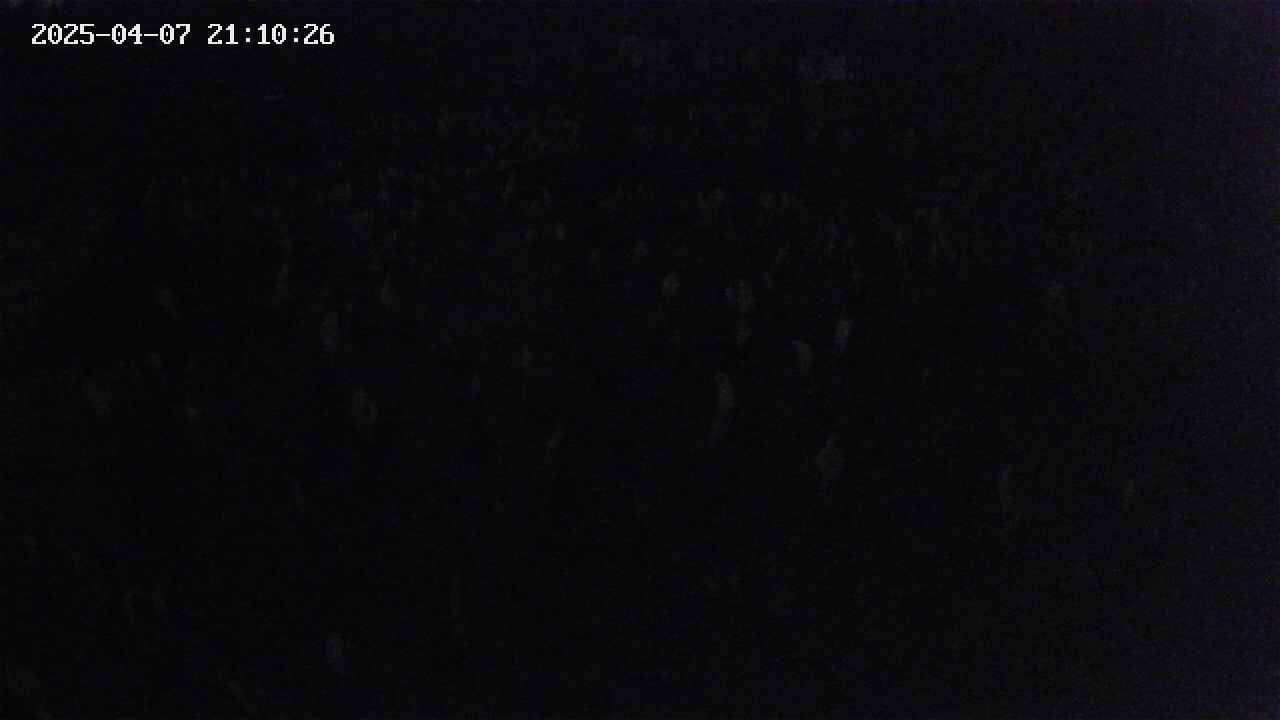mizubasho2-20250407211027.jpg