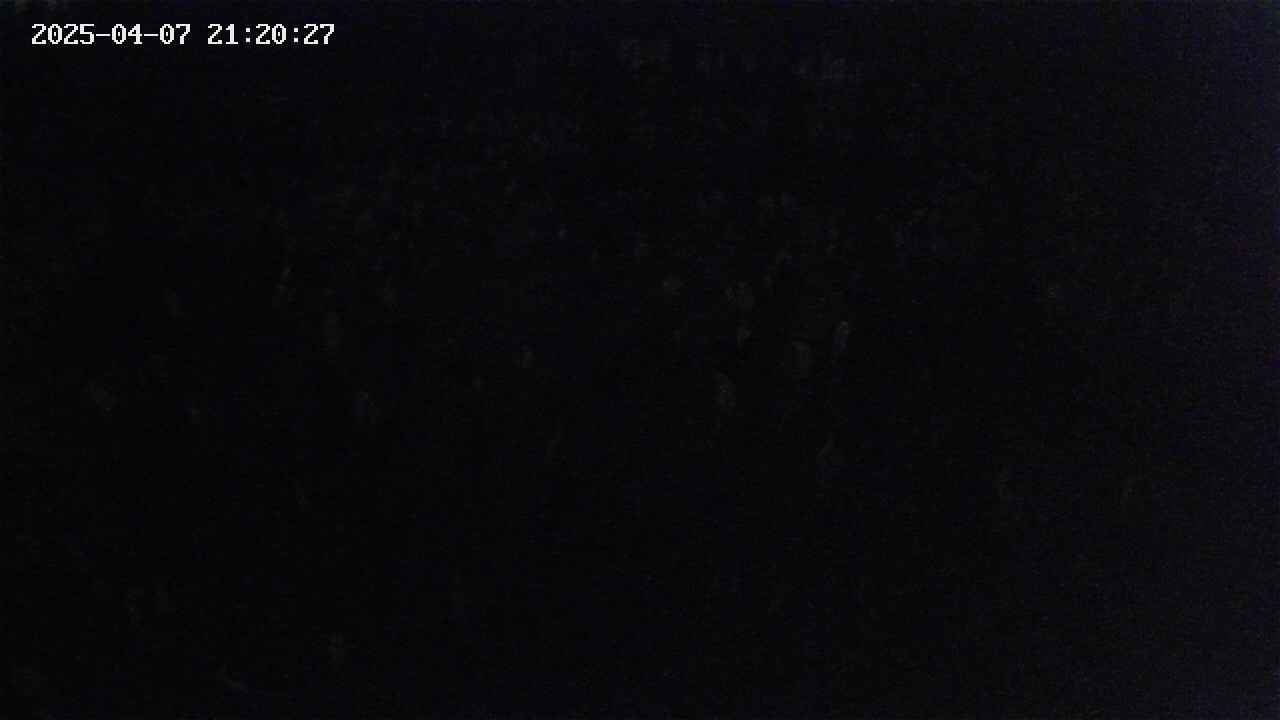 mizubasho2-20250407212028.jpg