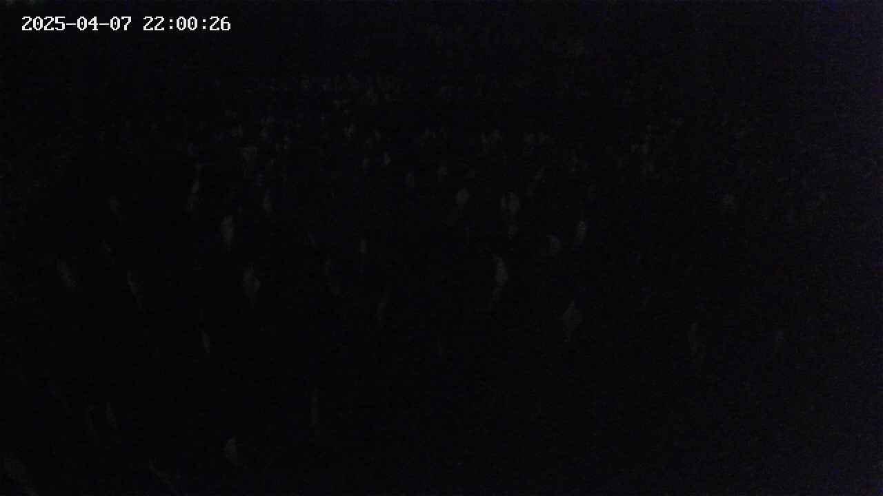 mizubasho2-20250407220026.jpg