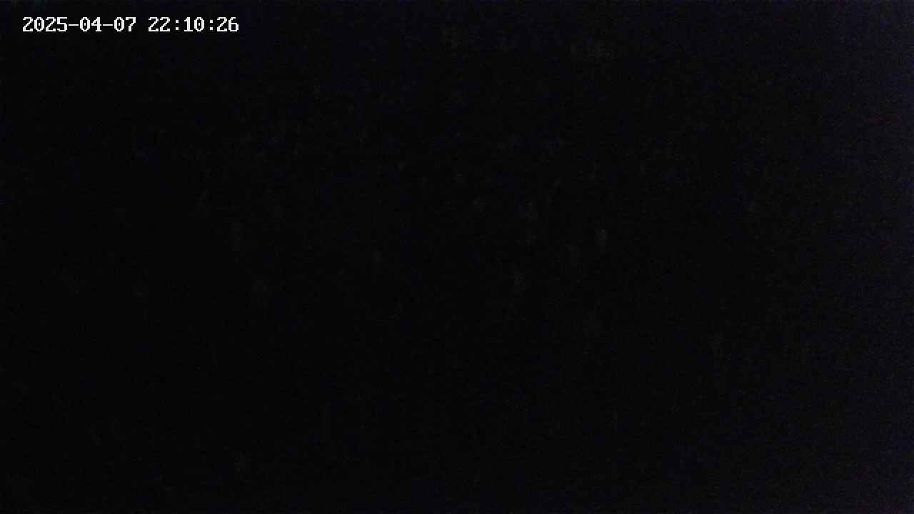 mizubasho2-20250407221027.jpg