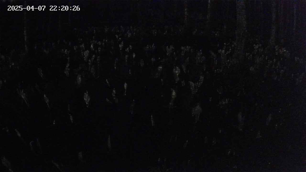 mizubasho2-20250407222027.jpg
