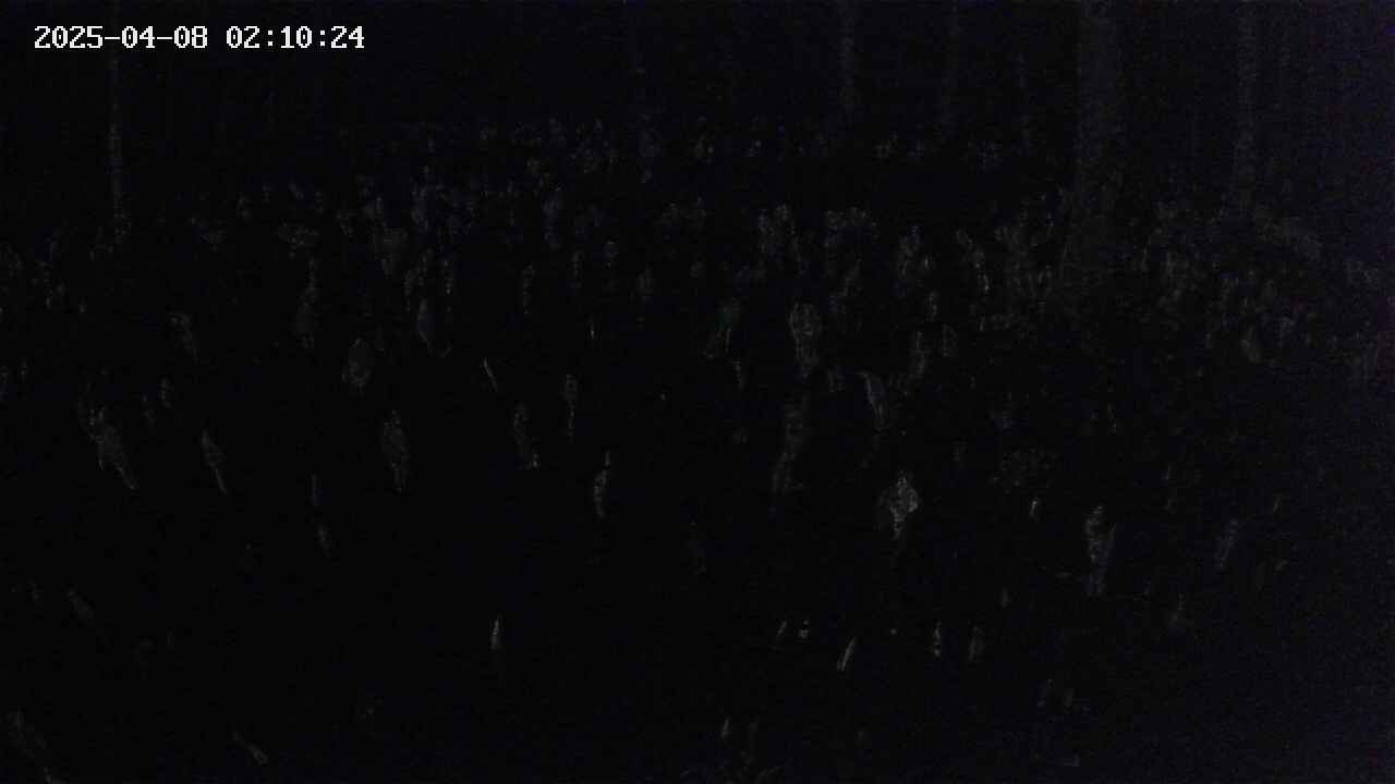 mizubasho2-20250408021025.jpg
