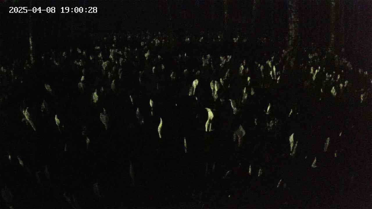 mizubasho2-20250408190029.jpg