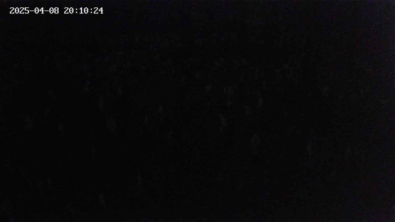 mizubasho2-20250408201025.jpg