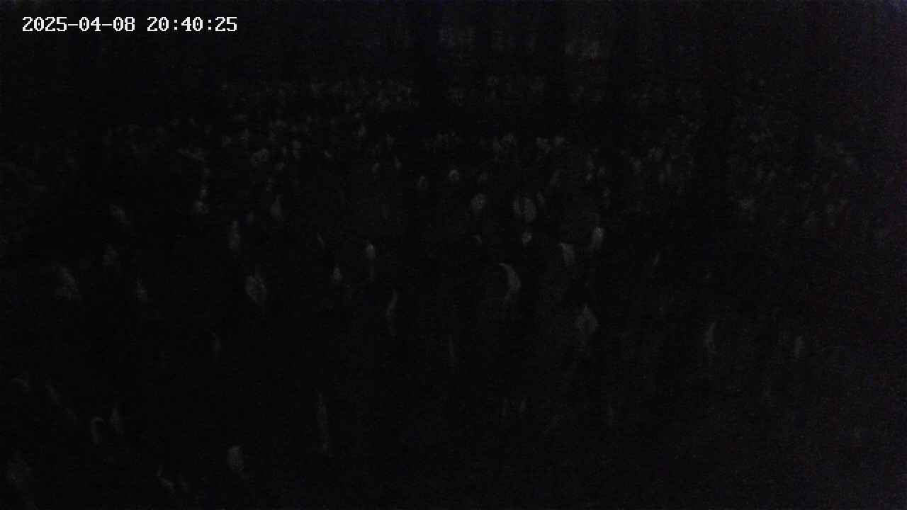 mizubasho2-20250408204026.jpg