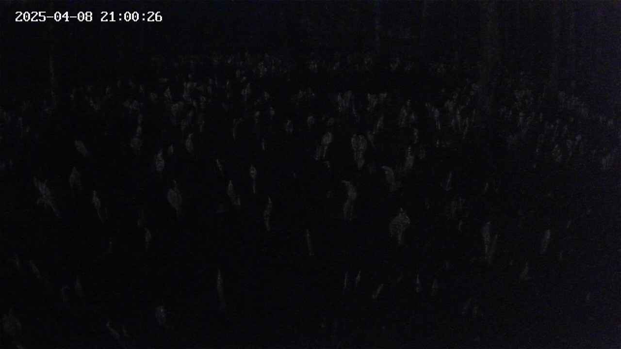 mizubasho2-20250408210027.jpg