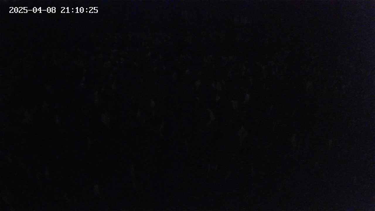 mizubasho2-20250408211026.jpg