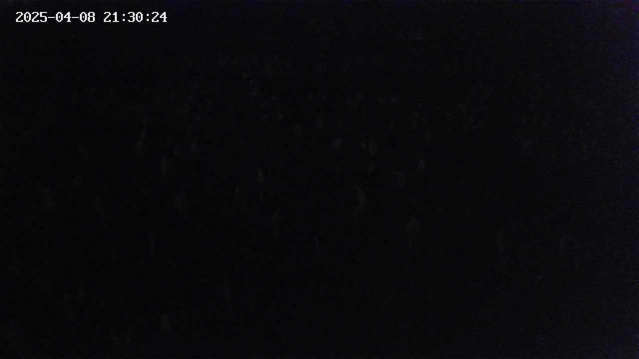 mizubasho2-20250408213025.jpg