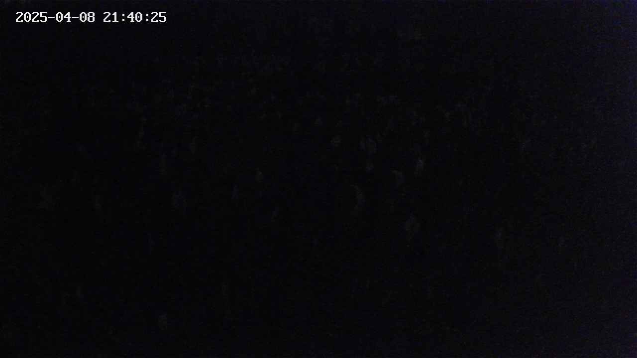 mizubasho2-20250408214026.jpg