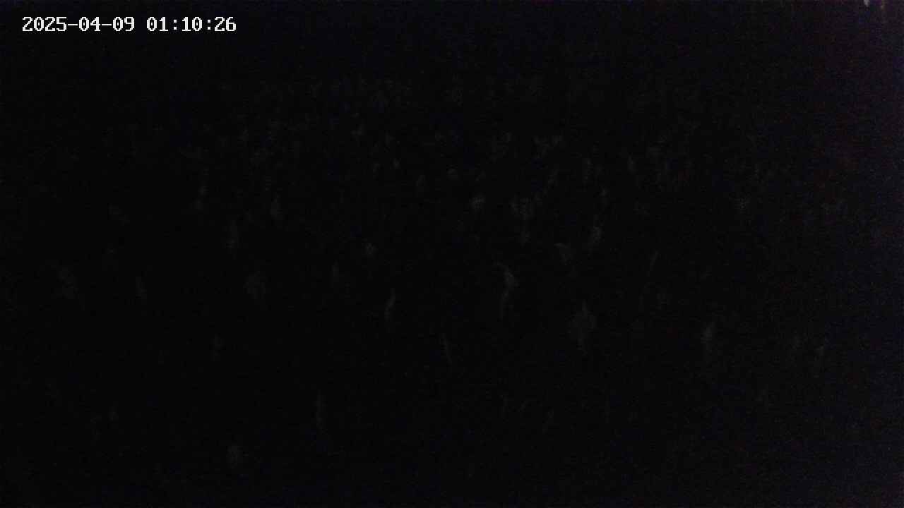 mizubasho2-20250409011027.jpg