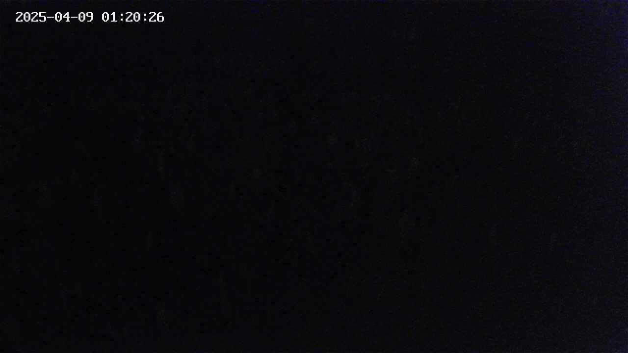 mizubasho2-20250409012027.jpg
