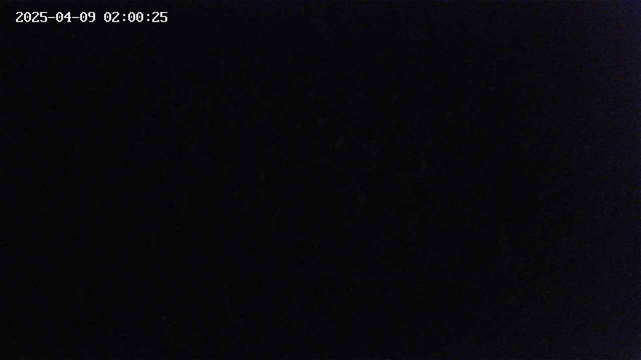 mizubasho2-20250409020026.jpg