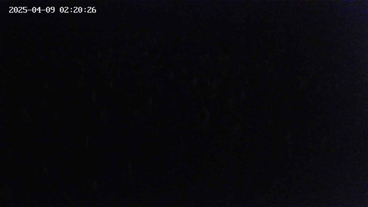 mizubasho2-20250409022027.jpg