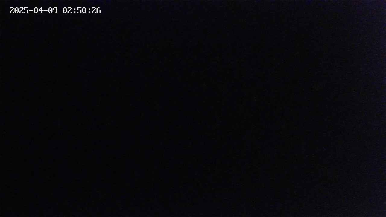 mizubasho2-20250409025027.jpg