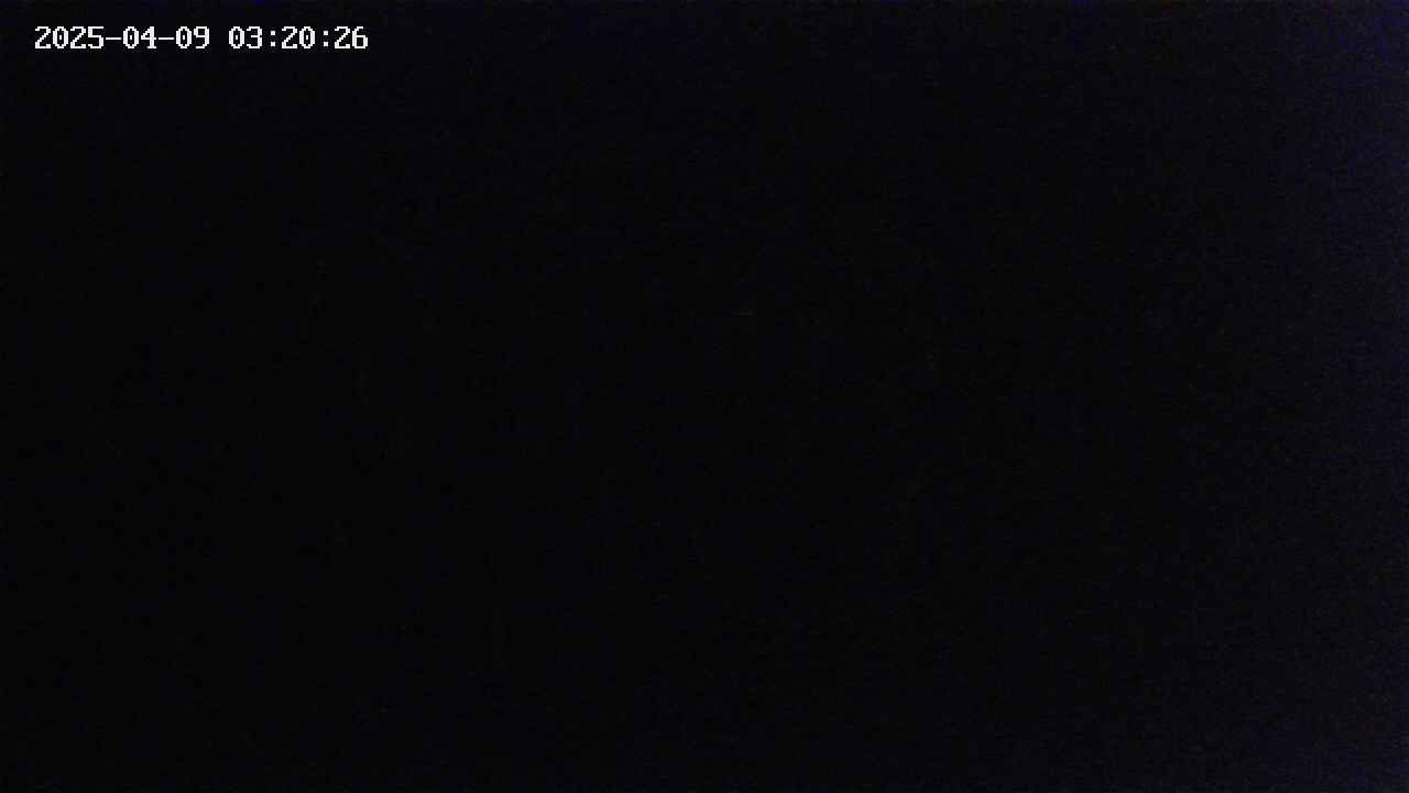 mizubasho2-20250409032027.jpg