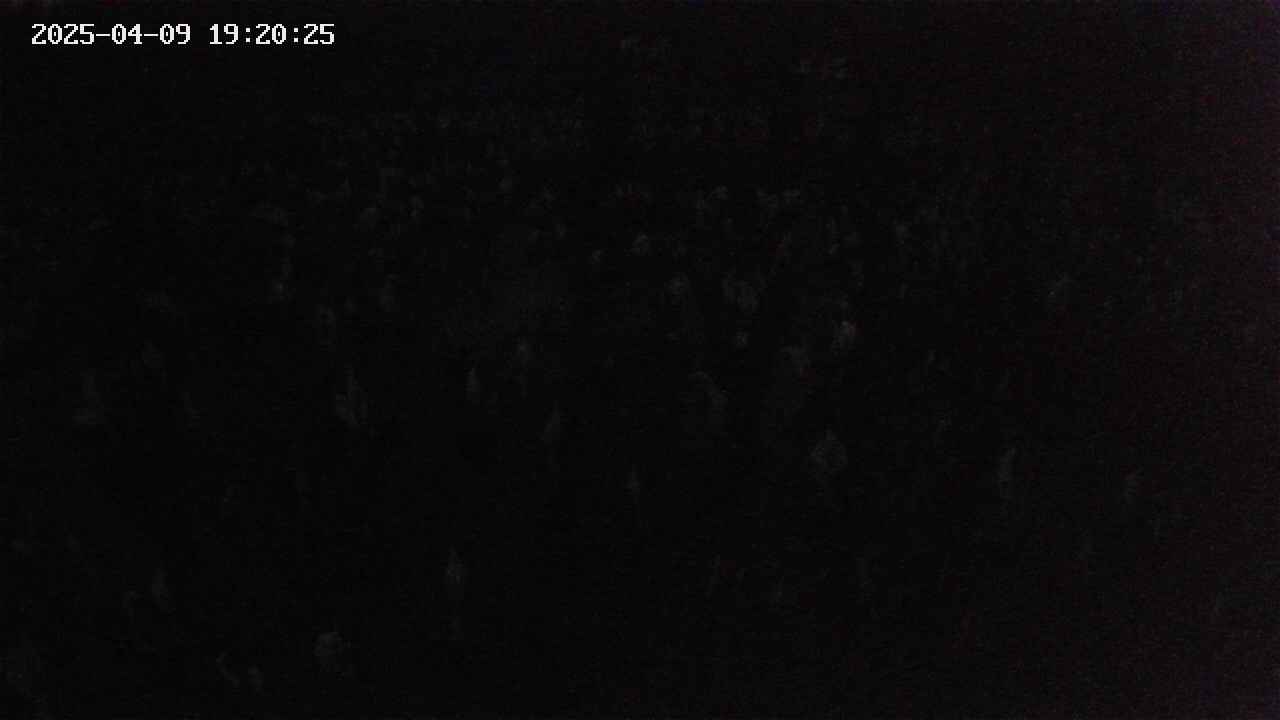 mizubasho2-20250409192026.jpg