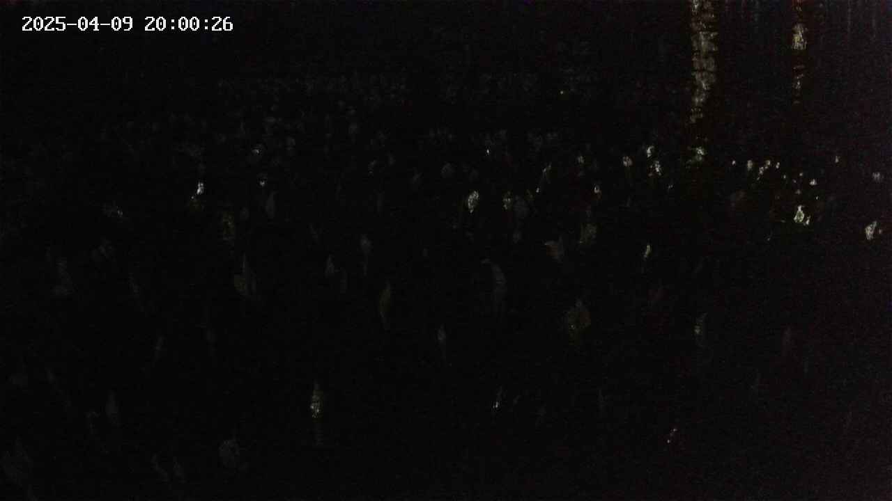mizubasho2-20250409200027.jpg