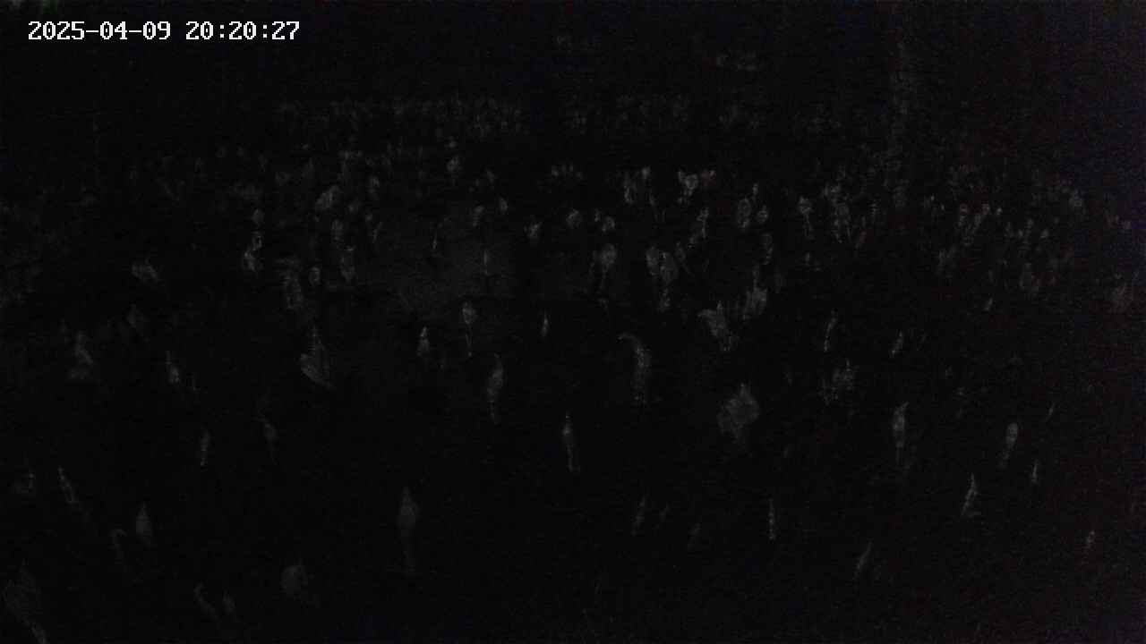 mizubasho2-20250409202028.jpg