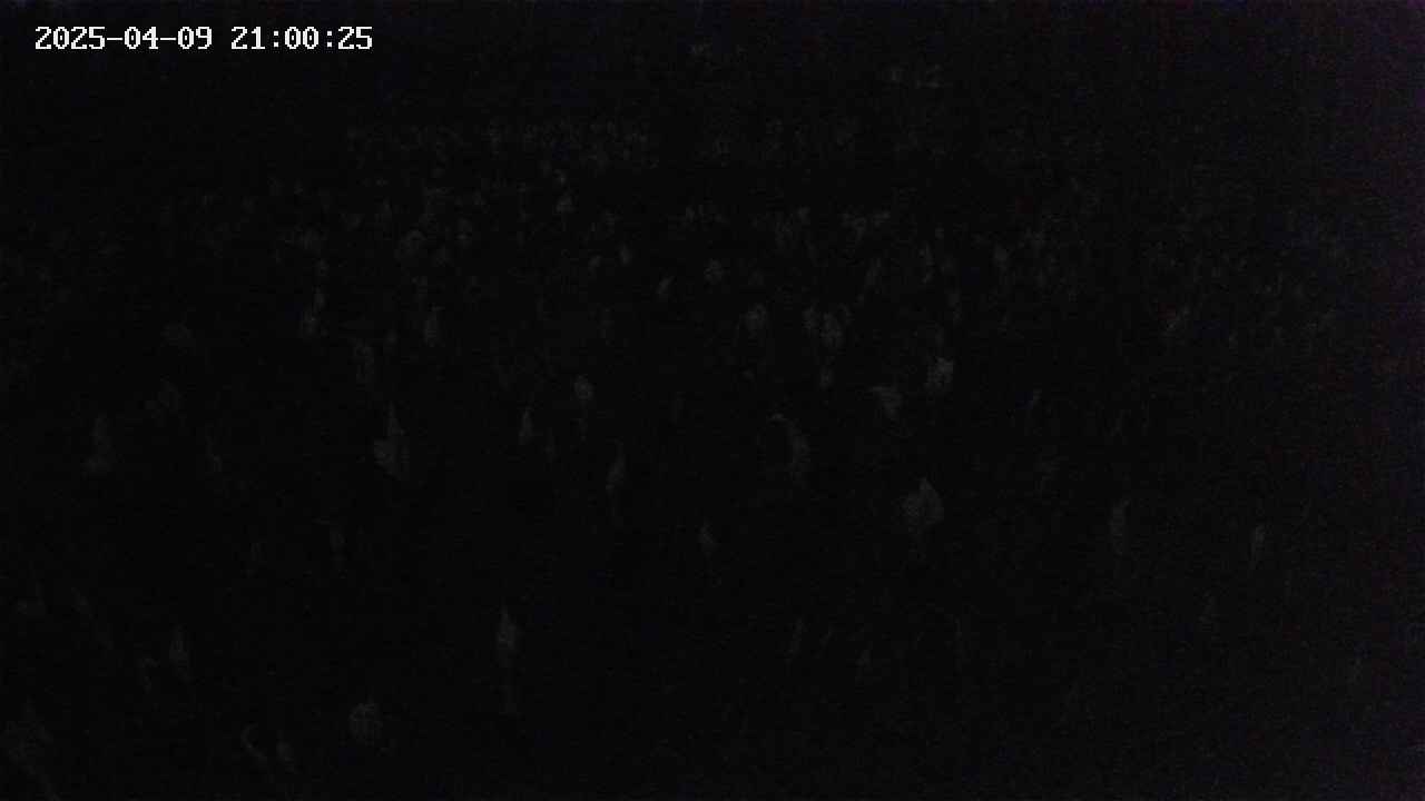 mizubasho2-20250409210026.jpg