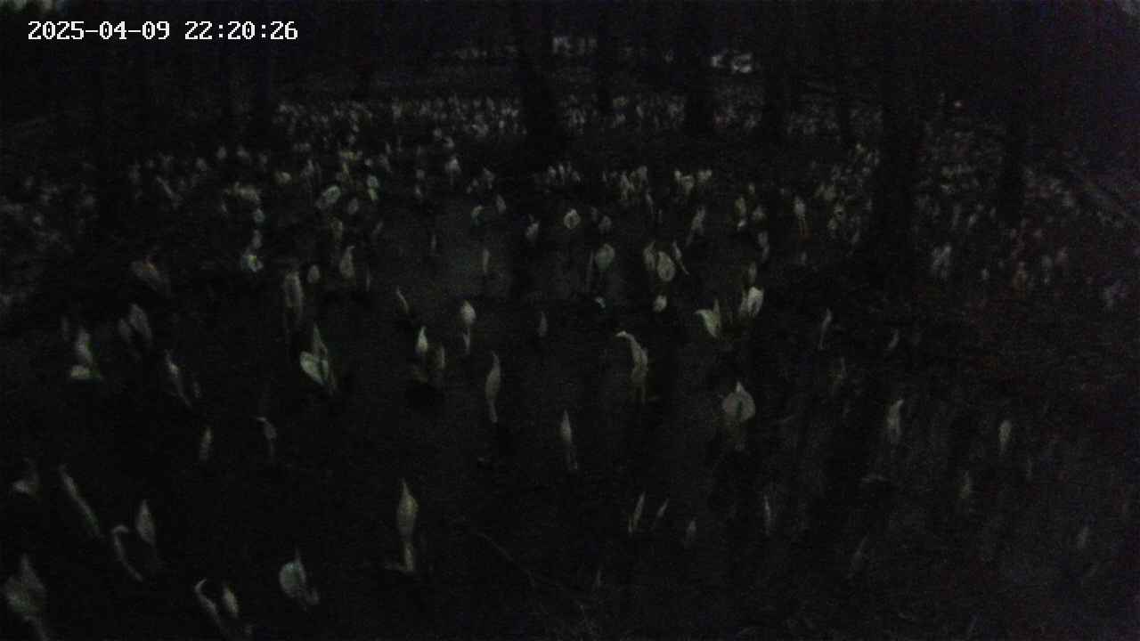 mizubasho2-20250409222027.jpg