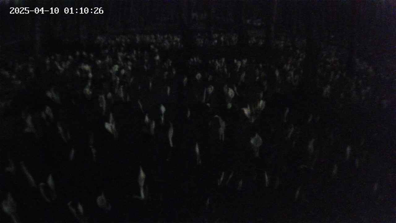 mizubasho2-20250410011027.jpg