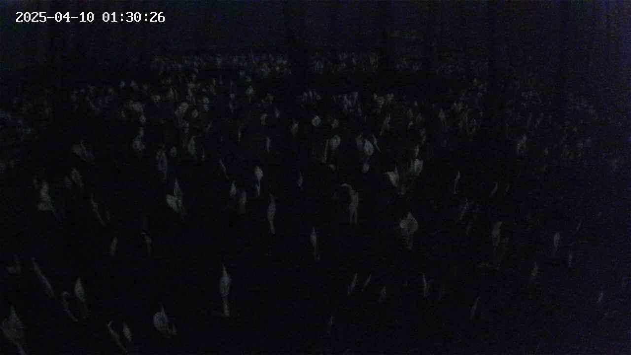mizubasho2-20250410013027.jpg