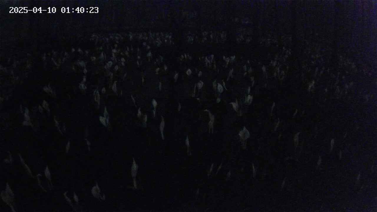 mizubasho2-20250410014024.jpg