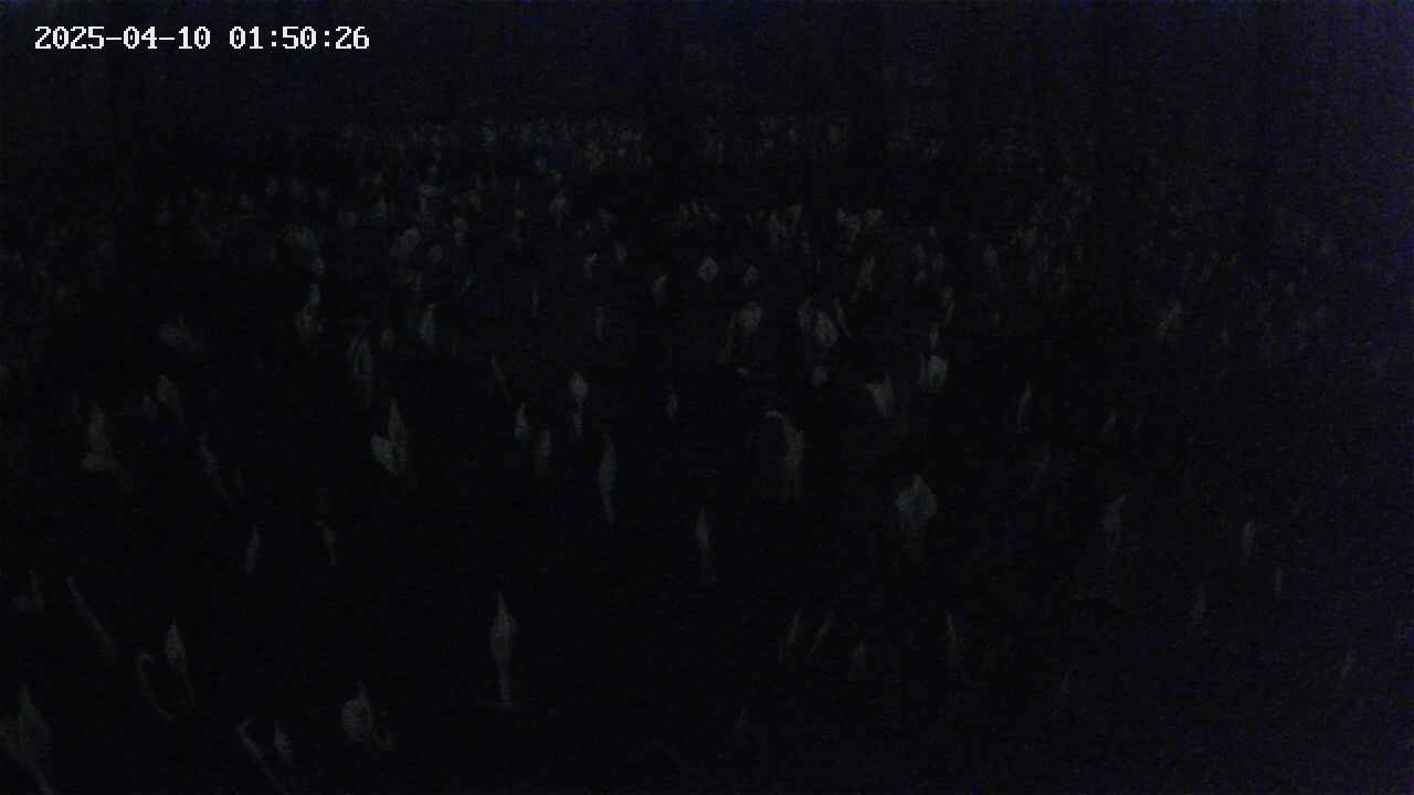 mizubasho2-20250410015027.jpg
