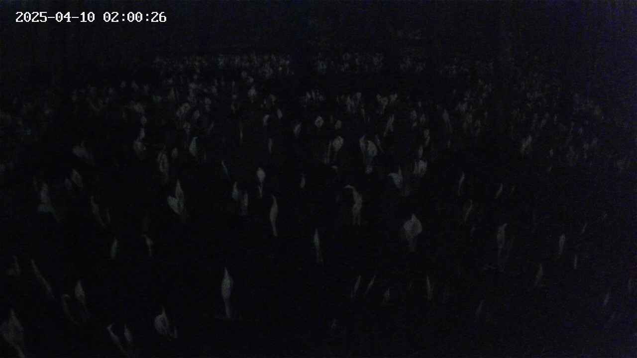 mizubasho2-20250410020027.jpg