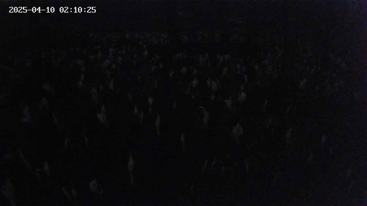 mizubasho2-20250410021026.jpg