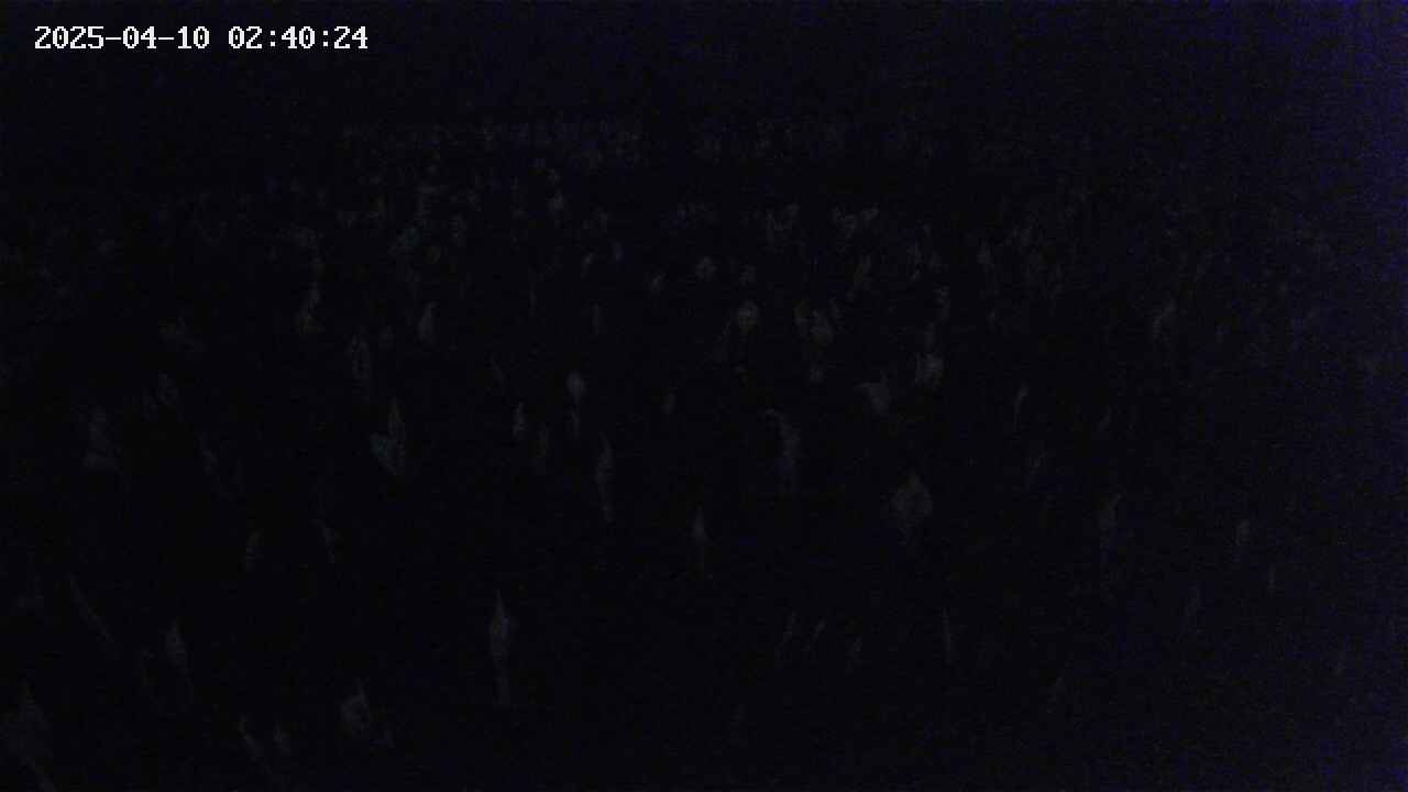 mizubasho2-20250410024025.jpg