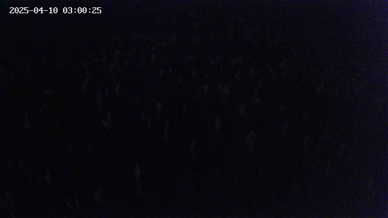 mizubasho2-20250410030026.jpg