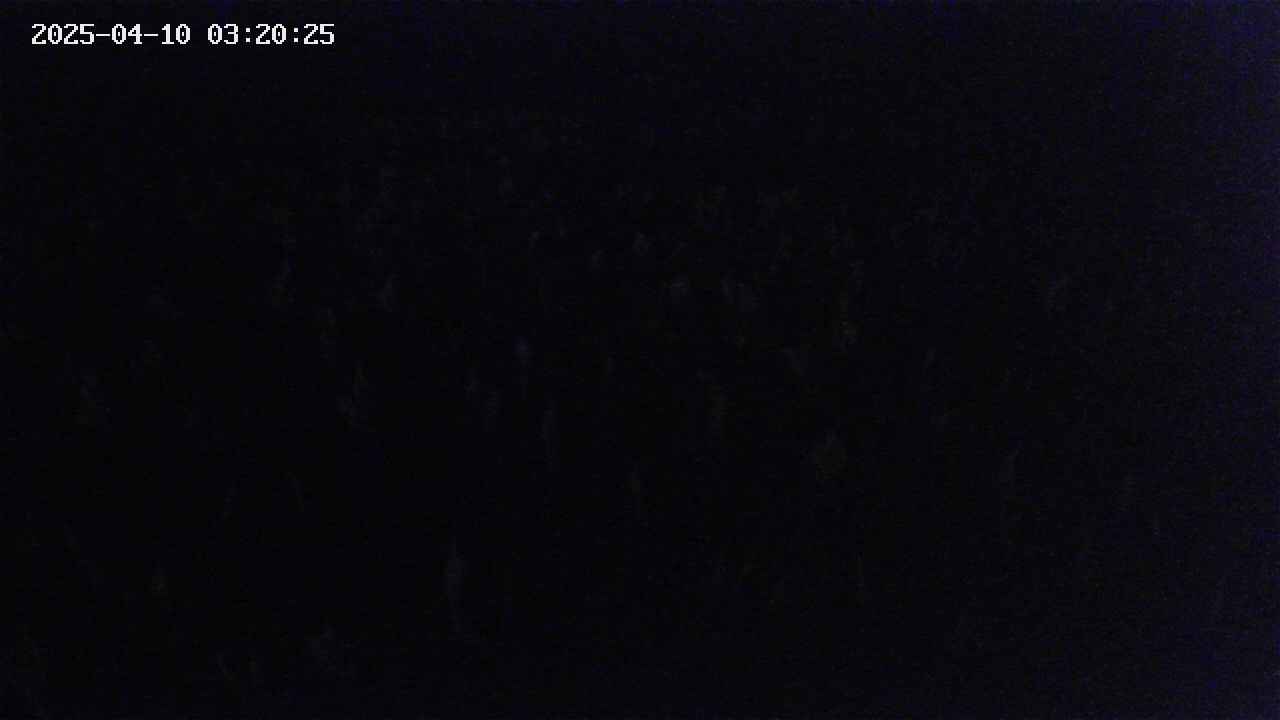 mizubasho2-20250410032026.jpg