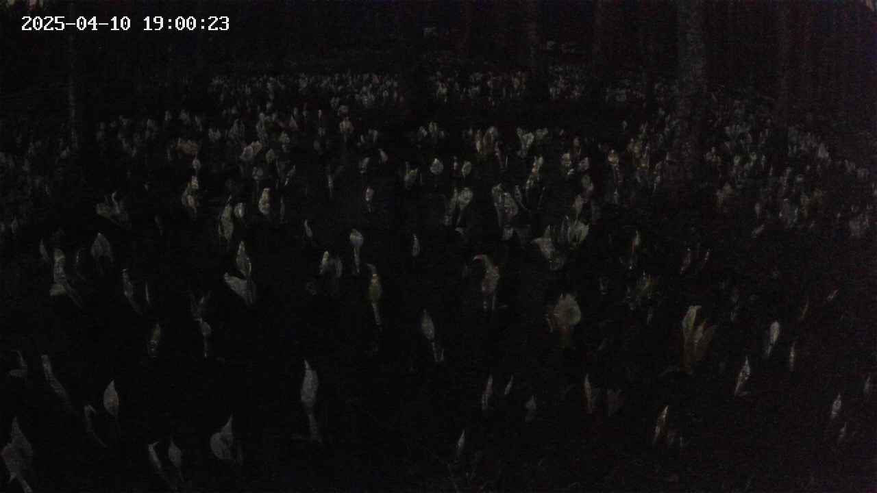 mizubasho2-20250410190025.jpg