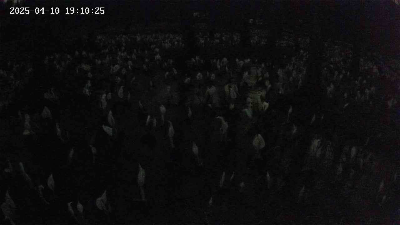 mizubasho2-20250410191026.jpg