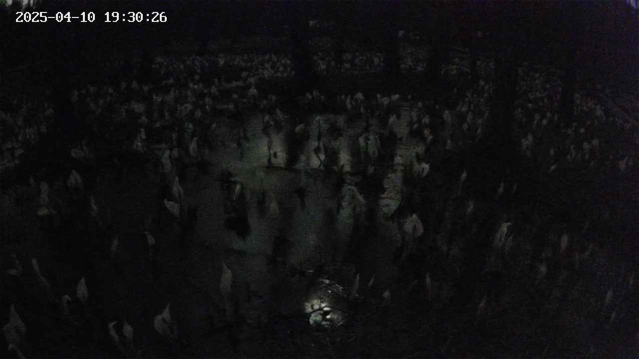 mizubasho2-20250410193027.jpg