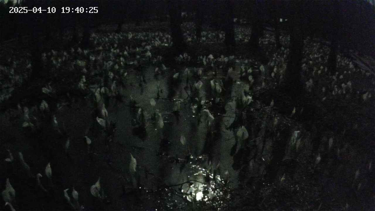 mizubasho2-20250410194027.jpg