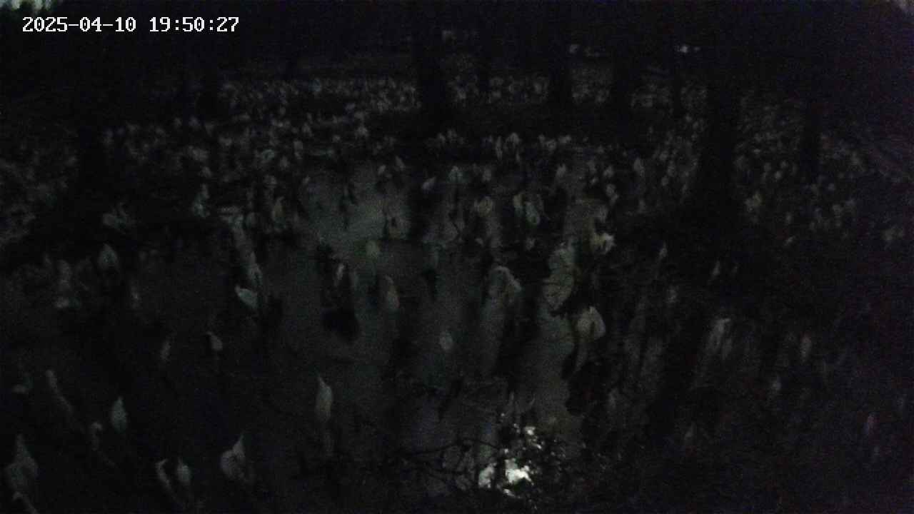 mizubasho2-20250410195028.jpg