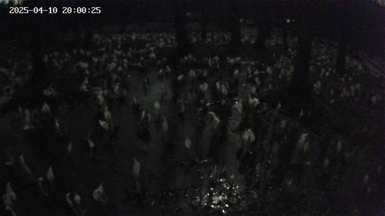 mizubasho2-20250410200026.jpg