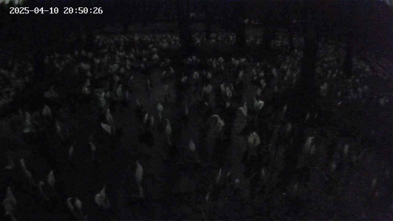 mizubasho2-20250410205027.jpg