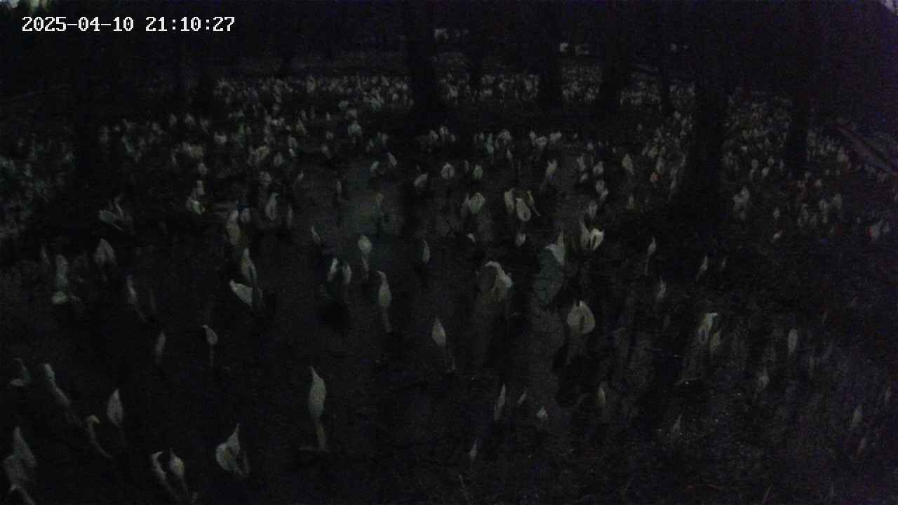mizubasho2-20250410211028.jpg