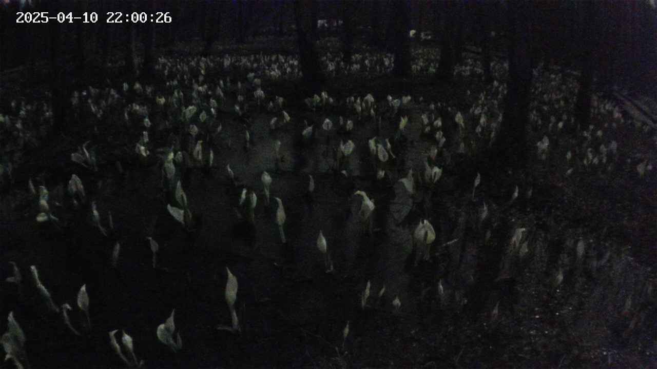 mizubasho2-20250410220027.jpg