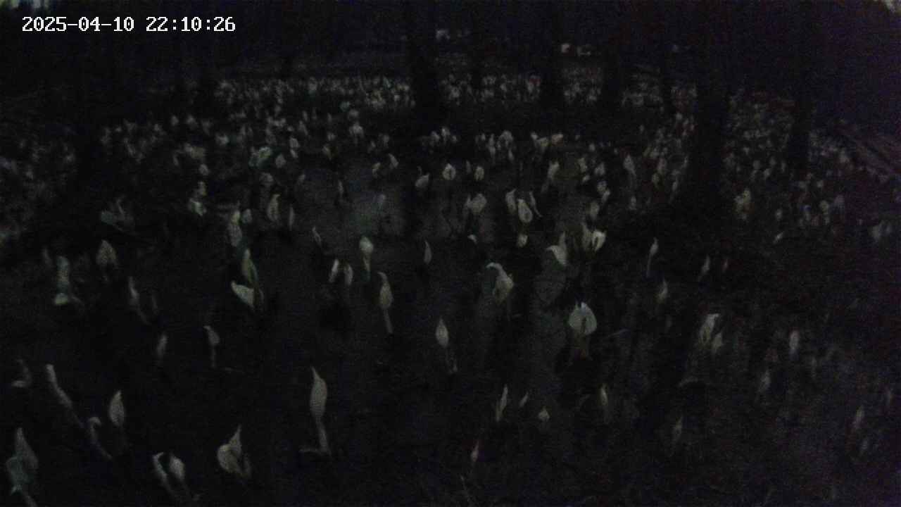 mizubasho2-20250410221028.jpg