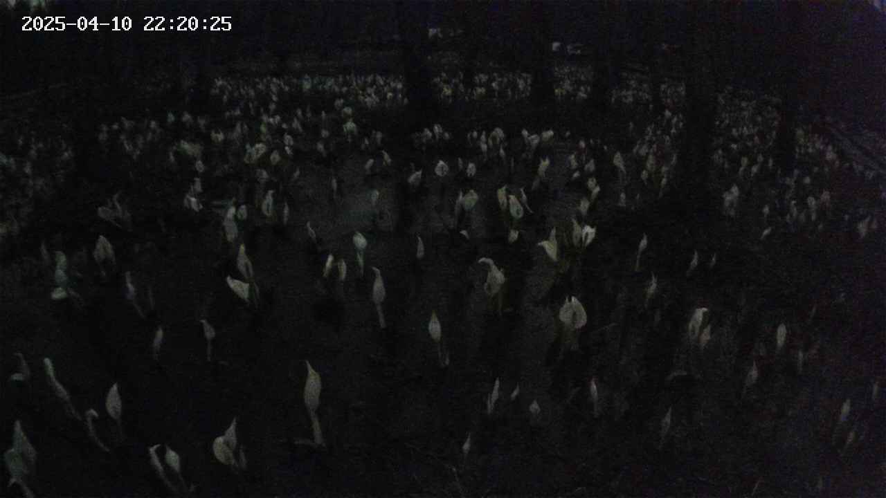 mizubasho2-20250410222027.jpg