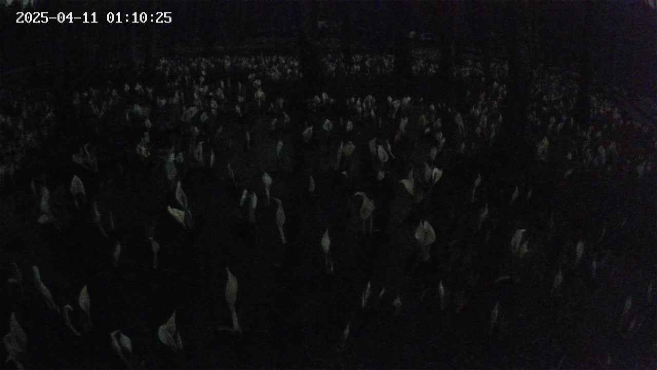 mizubasho2-20250411011026.jpg